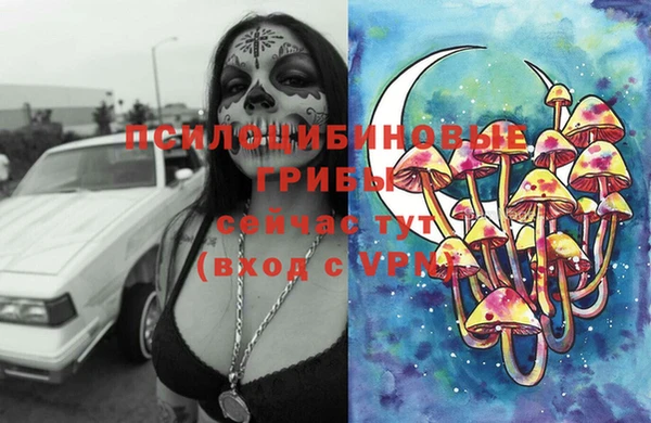 СК Алексин