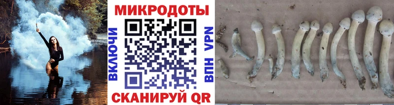 Псилоцибиновые грибы ЛСД  Пошехонье 